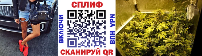 Бошки Шишки семена  Кимры 
